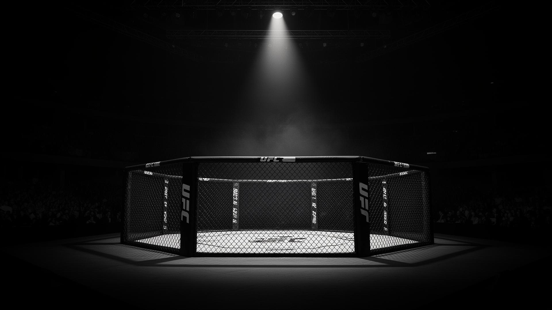 Fight Night